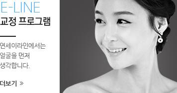 E-Line 교정 프로그램