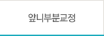 앞니부분교정